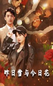 昨日雪与今日花(全集)