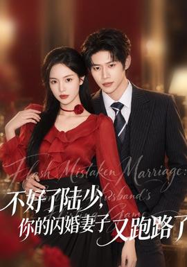 不好了陆少，你的闪婚妻子又跑路了(全集)